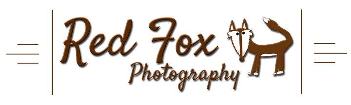 Red Fox Photography, Gibbon Minnesota